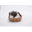 Statue chiot panier en osier Shih Tzu