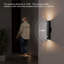 Danapaola LED Flush Mounted Sconce-570481454