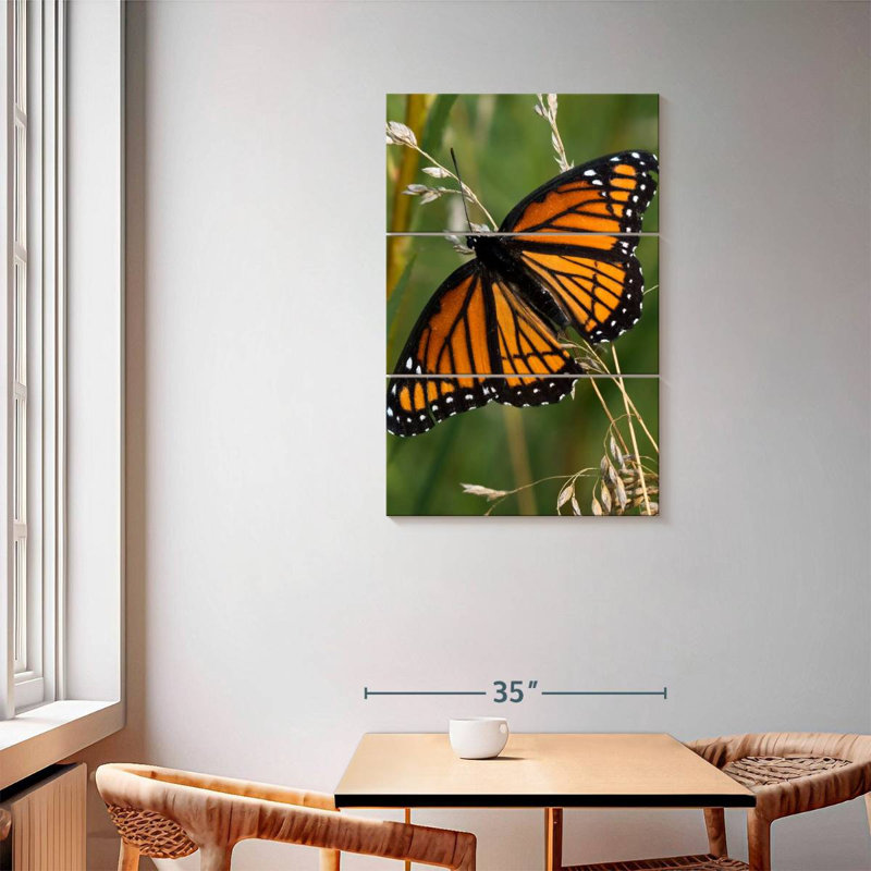 Brampt Monarch Butterfly Up Close, 57" H x 36" W
