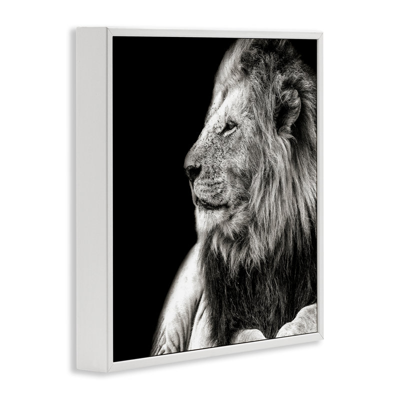 Portrait de lion sur estampe numérique par Shelley Lake, H 12 po x l 12 po, Giclée encadrée blanc bord de mer
