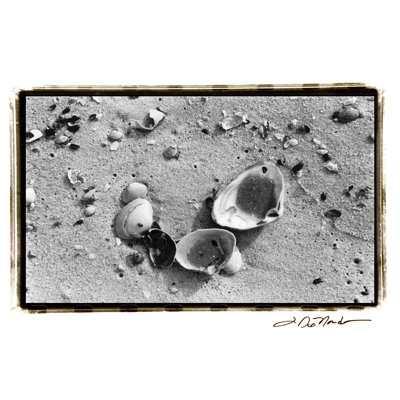 Trésors de sable IV