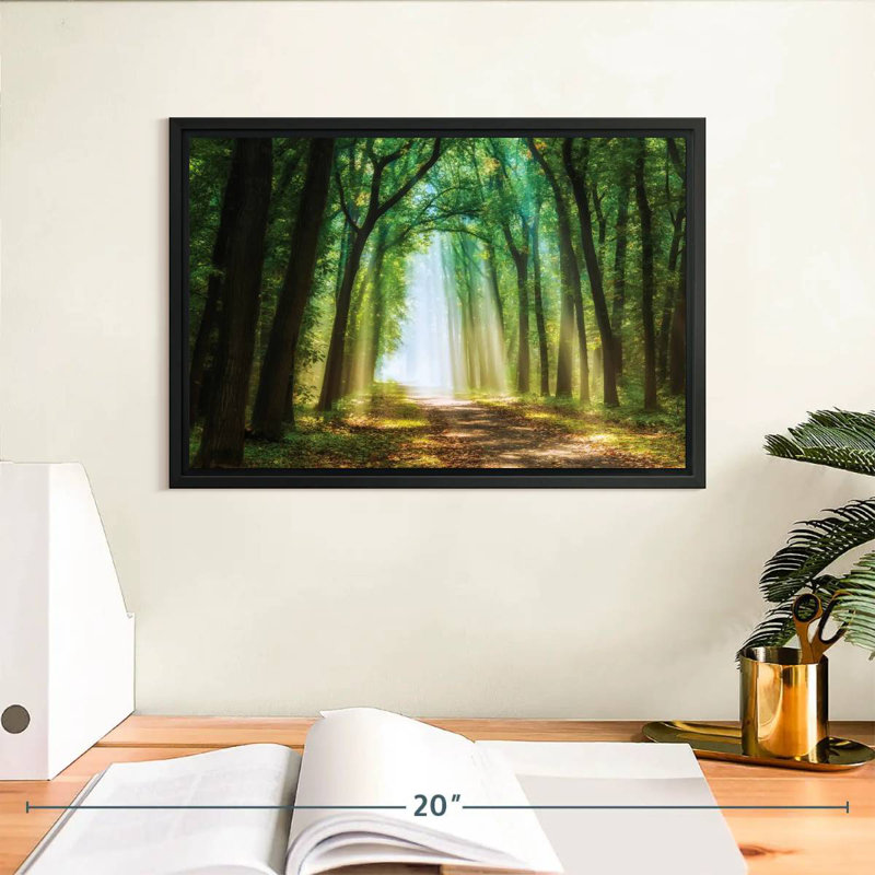 Curtain Of Light, Floating Frame Black, 13" X 9"