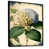 Black Floater Framed Canvas