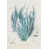 Couche de verre