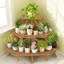 Bridenthal Wood Plant Stand