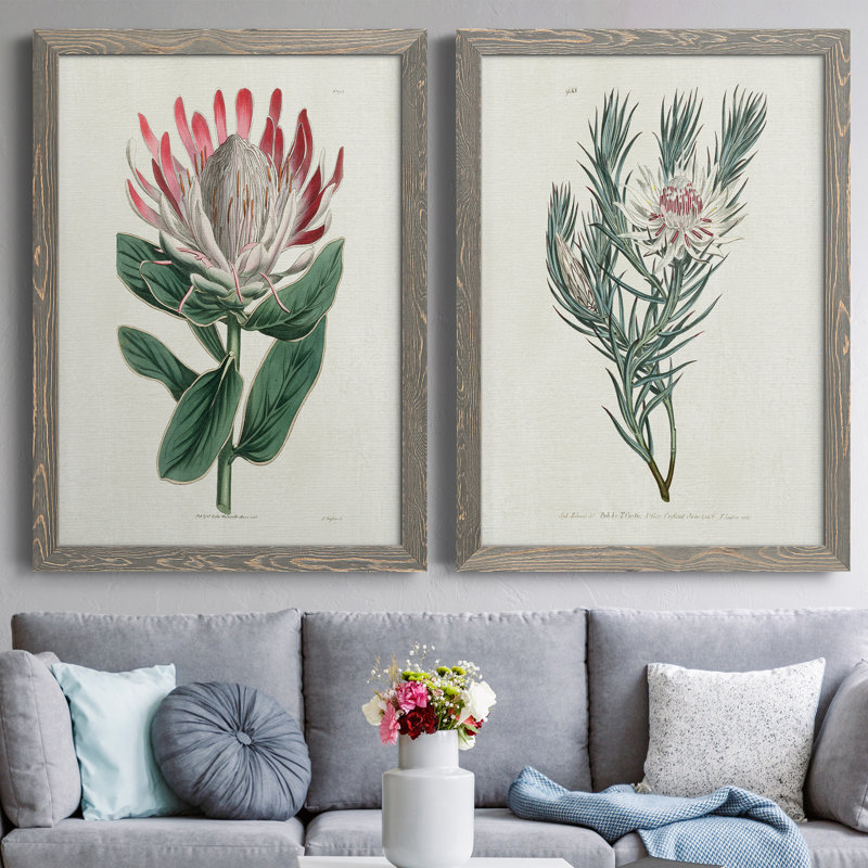 Protea N13 - Ensemble de 2 peintures sur toiles encadrées, H 44 po x l 31 po x P 1 po, Encadré gris