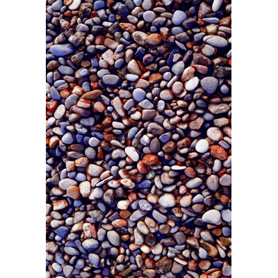 Quanzie Area Rug