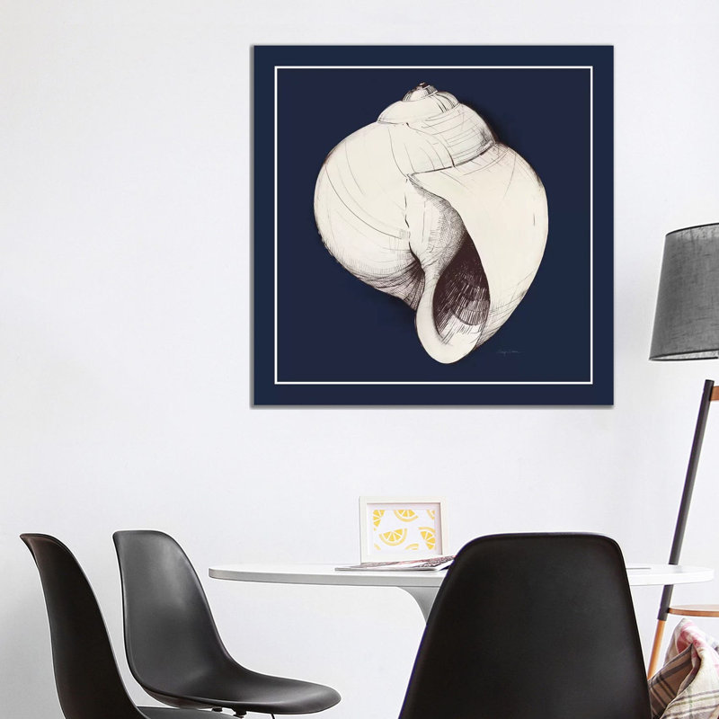 Coastal Shell I With Border Navy by Avery Tillmon - Wrapped Canvas Painting, 93.98 cm H x 93.98 cm W