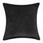 Coussin Feathers-102162654
