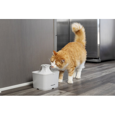 Premier Pet Pet Fountain 60 oz.