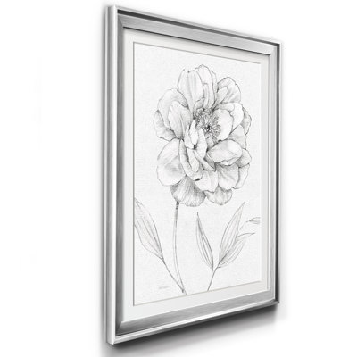 " Peony Sketch "