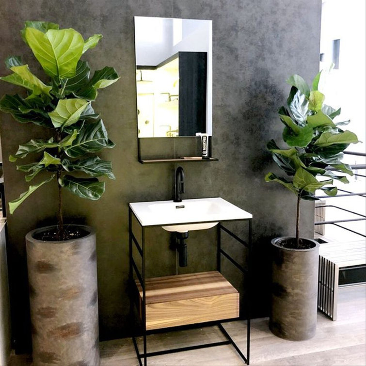 C2 Mirror