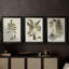 Fern Botanical III - Toile tendue avec châssis sur mesure - 3 pièces-1756760331-1756760341