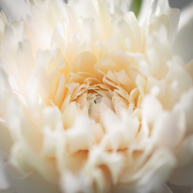 Dahlia Sprays, Crème, H 21 po x l 7 po x P 7 po