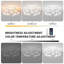 Ventilateurs de plafond Dalayshia-497319672