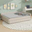Upholstered Daybed With Built In USB Ports And Trundle-282275194