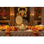 Lampe à huile en laiton fabriquée à la main Ashtalakshmi Diya, autel indien traditionnel de 4,5 pouces et décor de méditation
