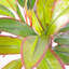 Artificial Realistic Palms Faux Moss Tree in Metal Planter-1360315281