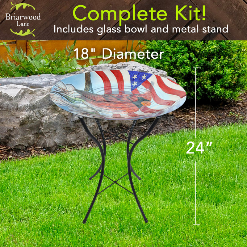 Bain d'oiseaux en verre American Cardinal