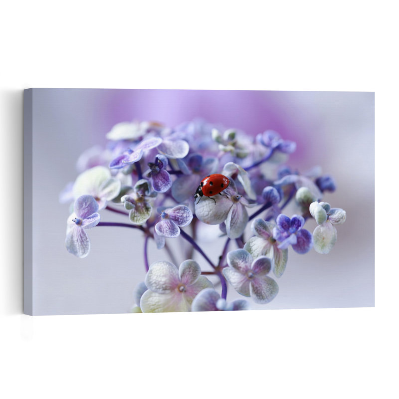 Ladybug On Purple Bloom Colorful Delicate Peaceful Ladybug Flower Nature Wall Art Print by Ellen van Deelen - 1 Piece Wrapped Canvas Wall Art