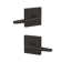 Eller Non-Turning Lever with Collins Trim