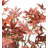 69cm Faux Maple Tree in Pot