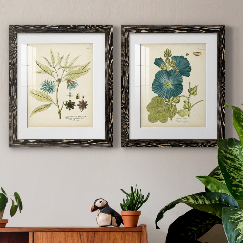 Eloquent Botanical III - Ensemble de 2 peintures encadrées, H 24 po x l 36 po x P 1,5 po, Blanc, Cadre en papier gris