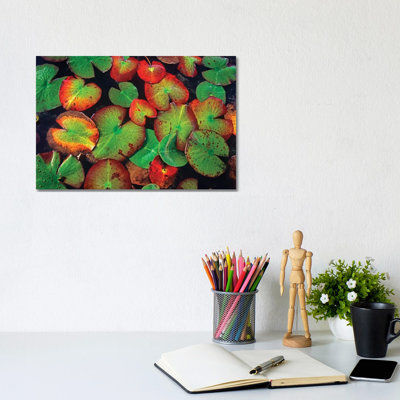 Yellow Pond Lily Close Up Of Pads, North America by Tim Fitzharris - Gallery-Wrapped Canvas Giclée on Canvas