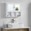 60cm x 50cm Surface Mount Mirror Cabinet