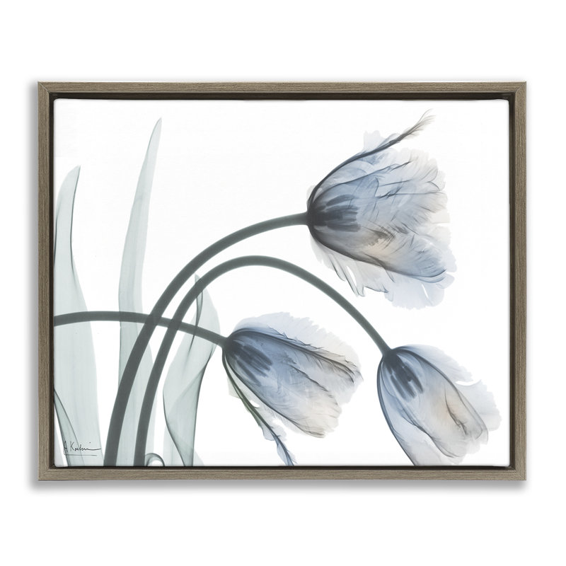 Cadre flottant tendance tulipes, design par Albert Koetsier, H 17 po x l 21 po, Cadre flottant orme Montalcino