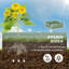 Avonleigh Planter Box-587374969