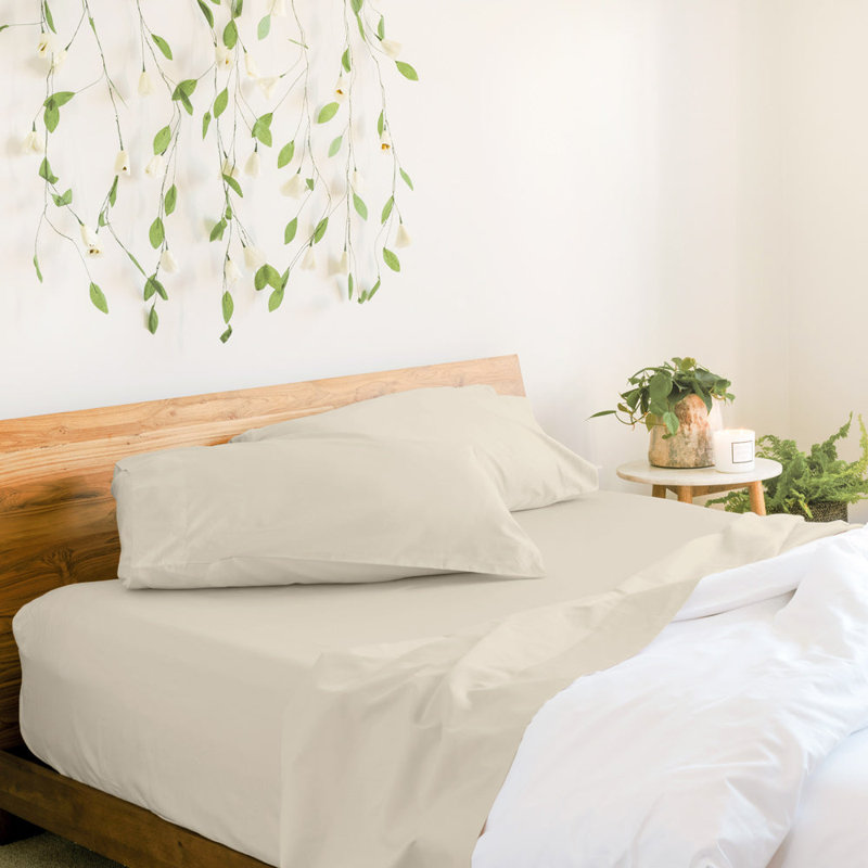 Birch King Cotton Sateen Pillowcase Set of Four