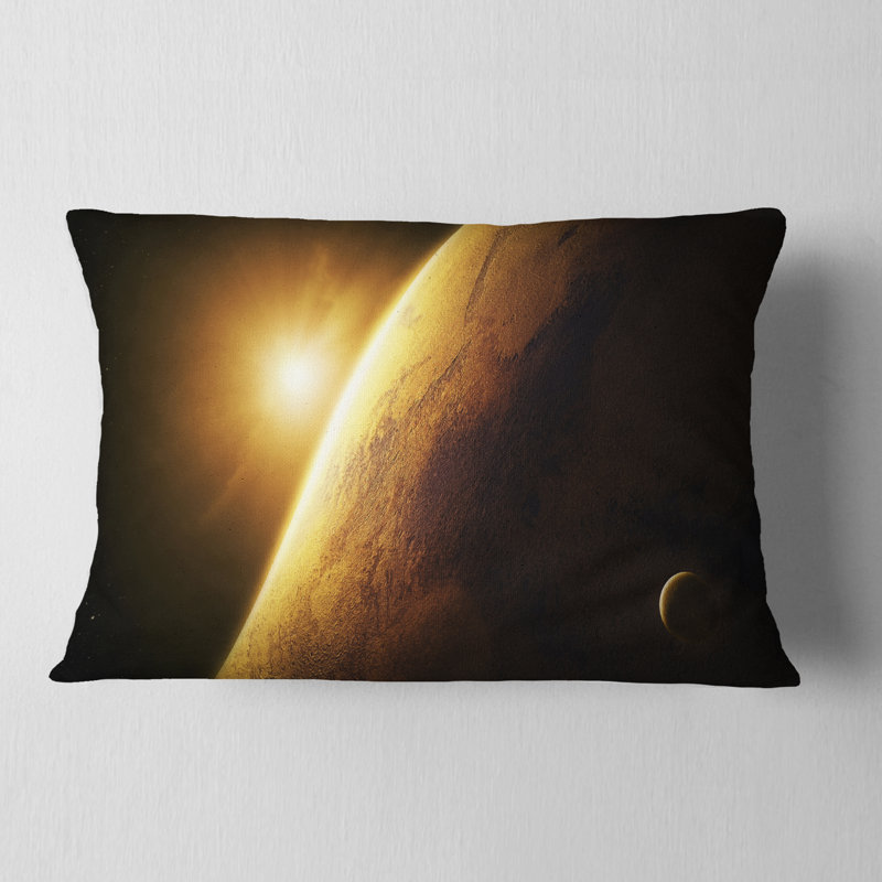 Coussin Schafer