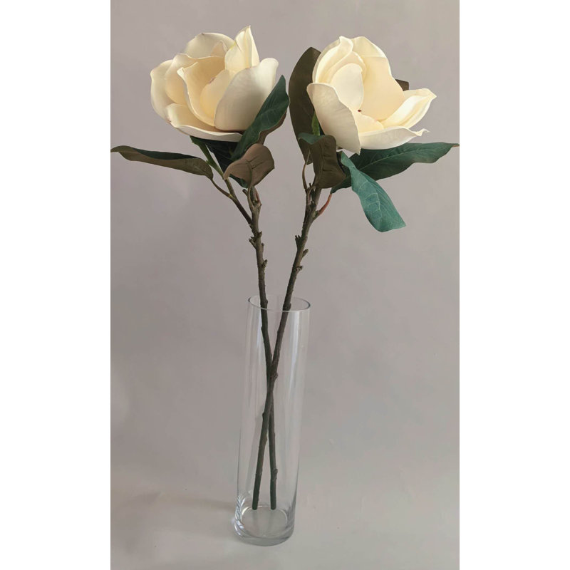 VAPORISATEUR GRANDIFTLORA 31'', White