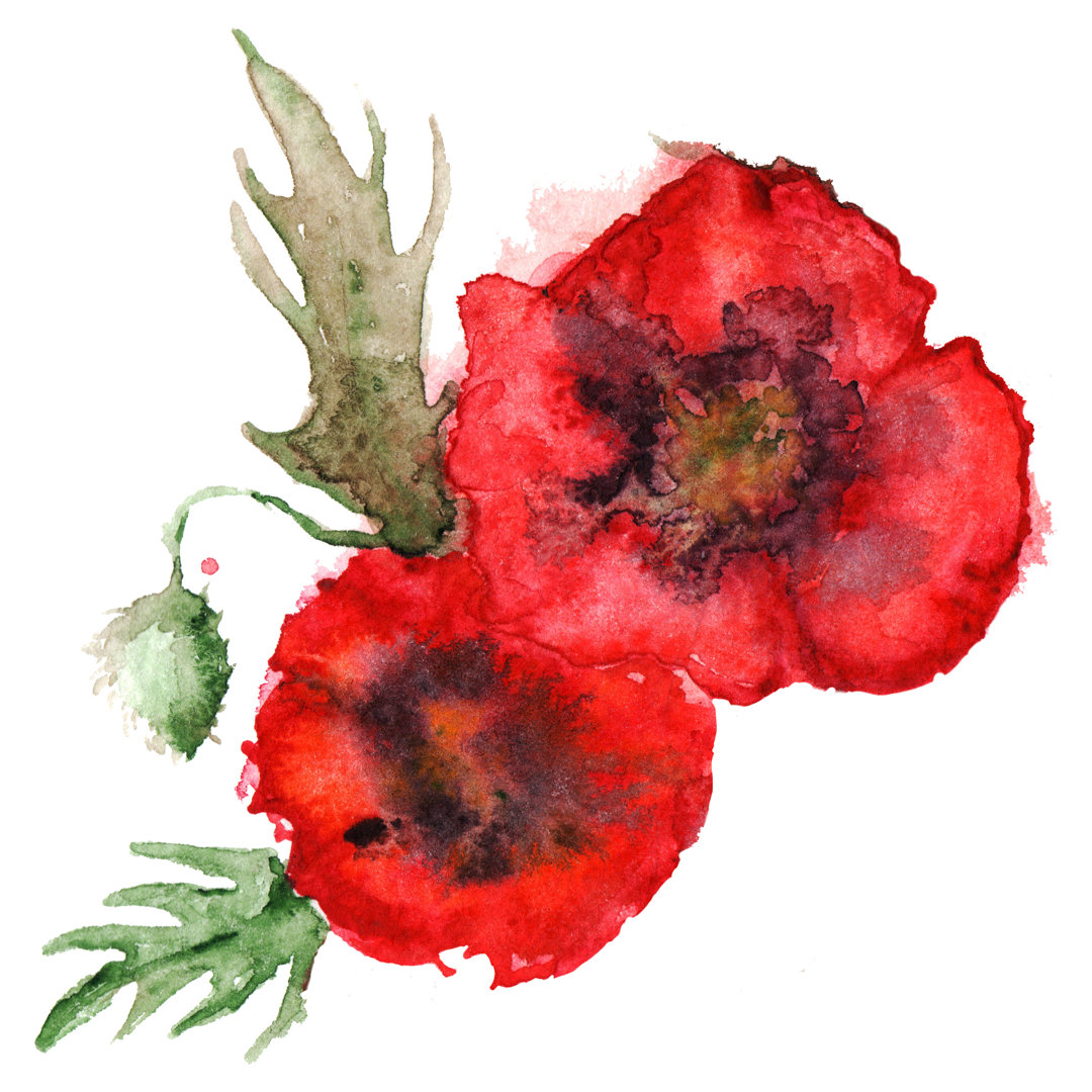 Turnersville Pair Of Red Poppies by Silmairel - Druck