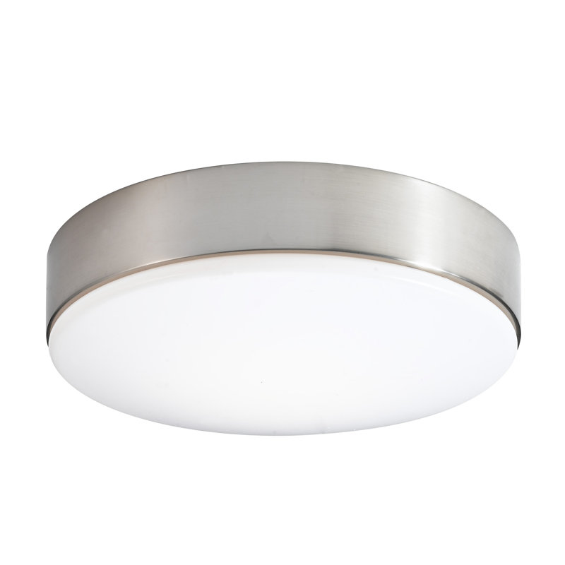 Neo Room Acrylic Flush Mount