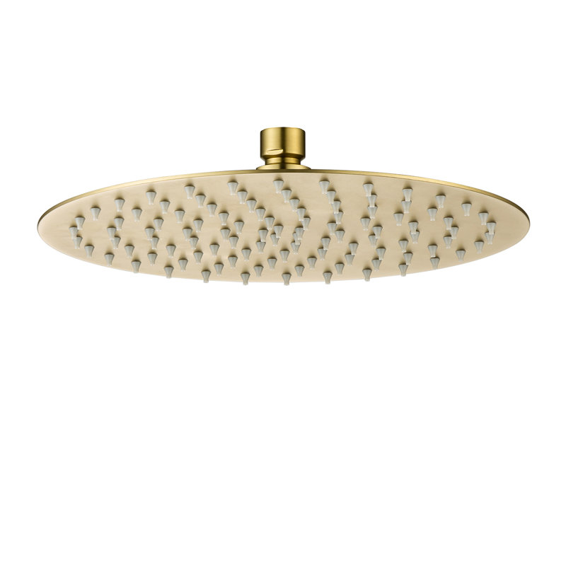 Rain Fixed Shower Head 2.0 GPM GPM, Brushed Gold