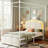 Full Size Canopy Bed With LED Lights, Storage Drawers & Charging Station-1346224610-1347615304