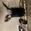 Customer photo 2 of 2