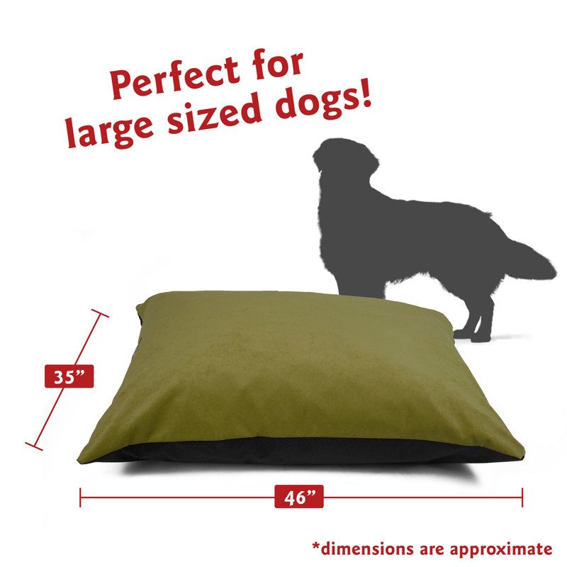Coussin pour chien Villa Majestic, Moyen (l 35 po x P 28 po x H 4 po), Jaune / vert