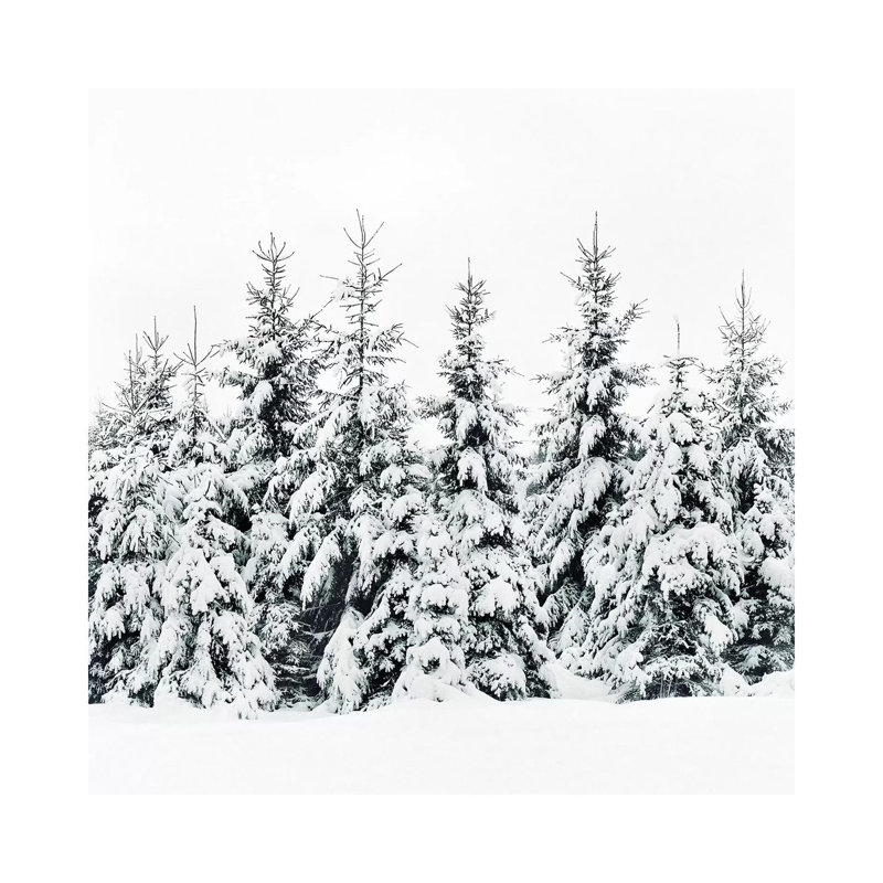 Snow Porn by Tordis Kayma - Wrapped Canvas Print, 45.72 cm H x 45.72 cm W