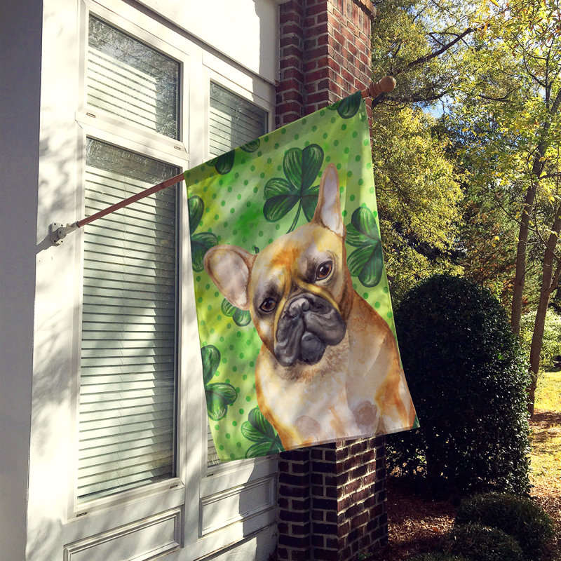 40 x 28 po en polyester à 2 côtés de la st patrick drapeau maison, Bouledogue français brun