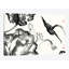 « lotus study ii », reproduction sur toile-29044043