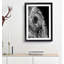 Watchful Elephant - Picture Frame Painting Print-55612206-55612205
