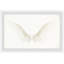 Reproduction de peinture à l’acrylique encadrée « White Wings » Aldan-480782560