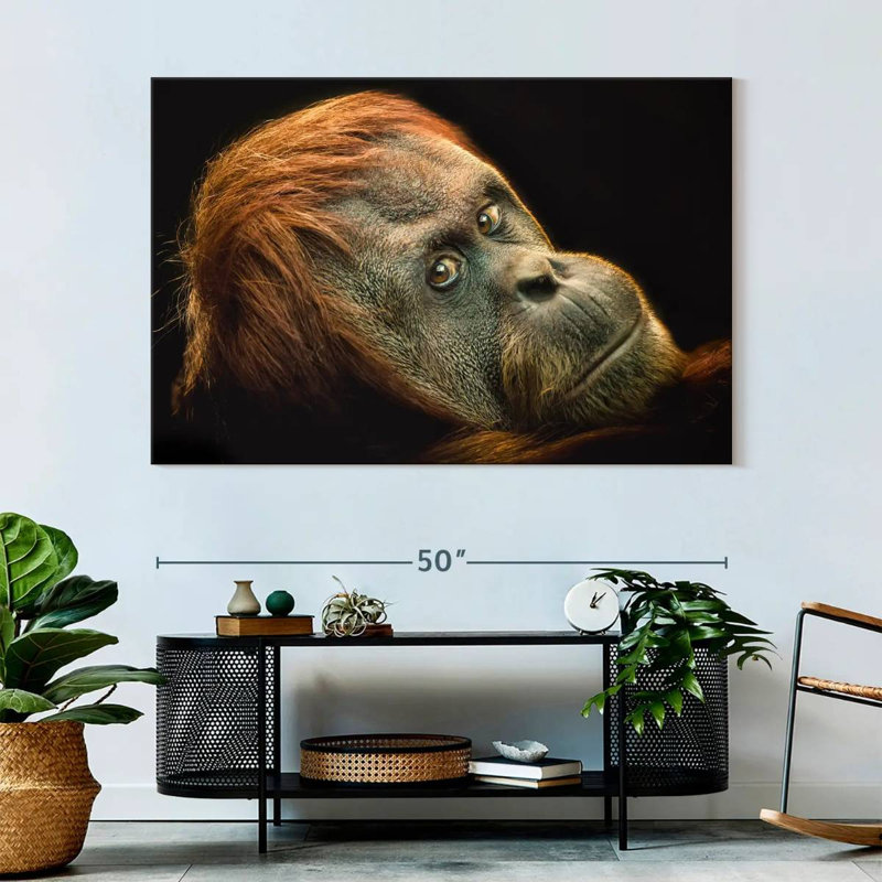 Brampt Dramatic Orangutan, 34" H x 51" W