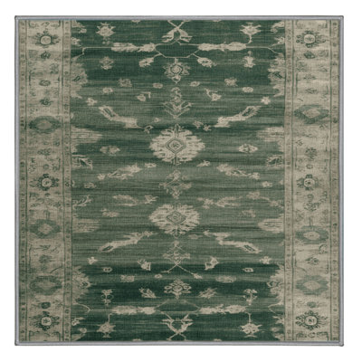 Machine Washable Overdyed Brown Area Rug