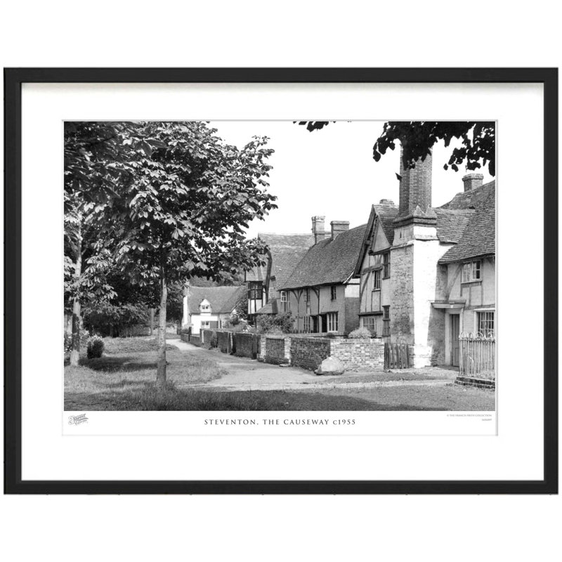 Steventon, The Causeway C1955 by Francis Frith - Single Picture Frame Print, 60cm H x 80cm W x 2.3cm D