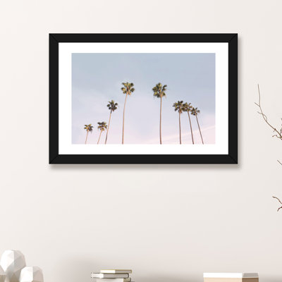 Photographie « california trees »