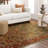 Spice Market Myanmar Plush Pile Stain/Fade Resistant Polyester Woven Ornamental Indoor Area Rug-28671468